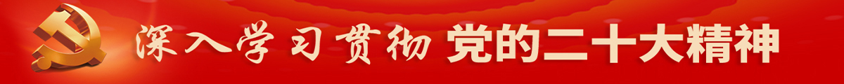 大会精神